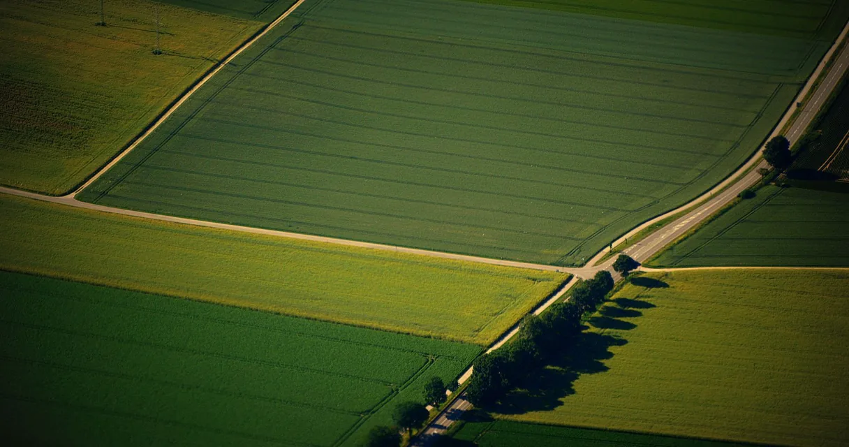 Vista aérea de talhões de lavoura verdes separados por estradas de terra